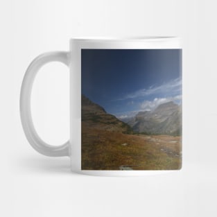 850_6481 Mug